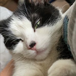 Meet your Posher, Emma